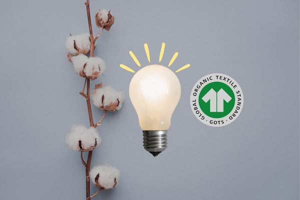 The Rise of Organic Cotton